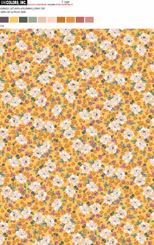KHH225_D1 KHH225_C16