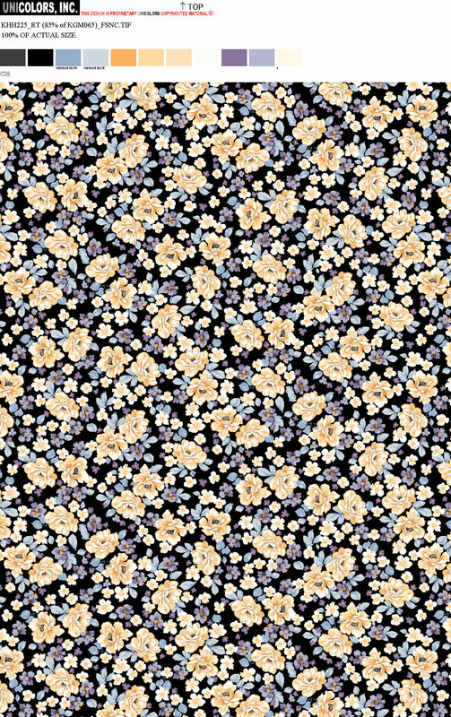 KHH225_D1 KHH225_C28