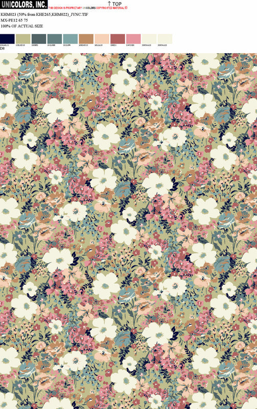 KHM023_D11 KHM023_D8