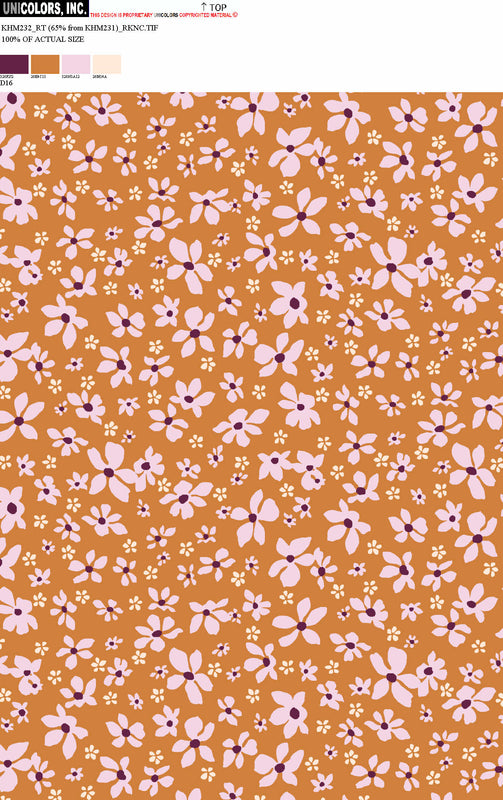 KHM232_D1 KHM232_D16