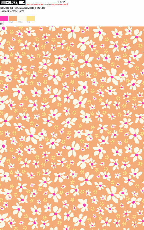 KHM232_D1 KHM232_D36