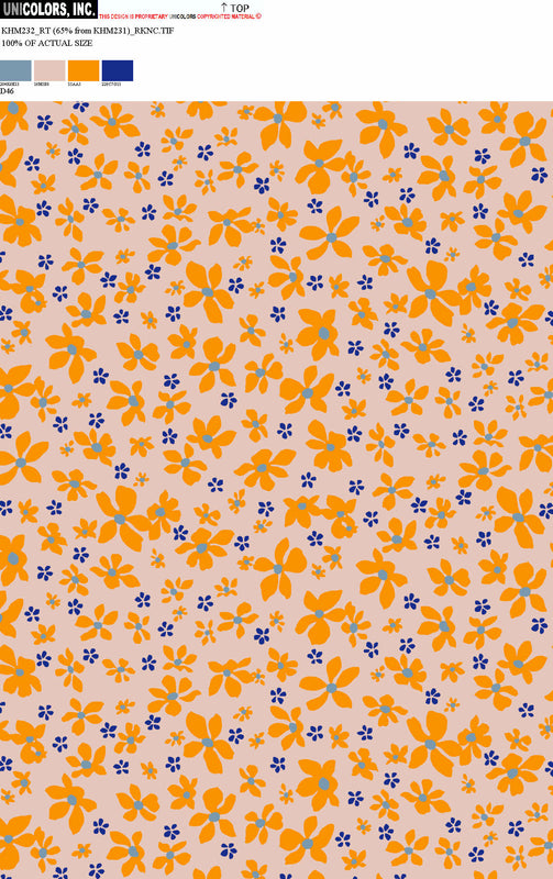 KHM232_D1 KHM232_D46