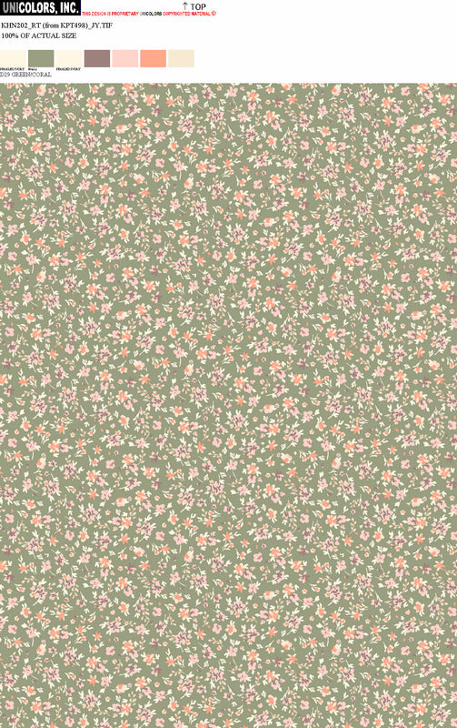 KHN202_D1 KHN202_D29