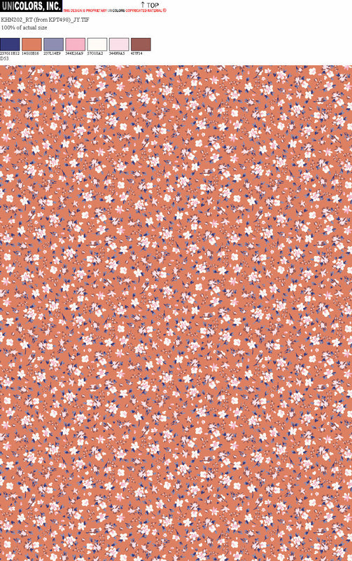 KHN202_D1 KHN202_D53