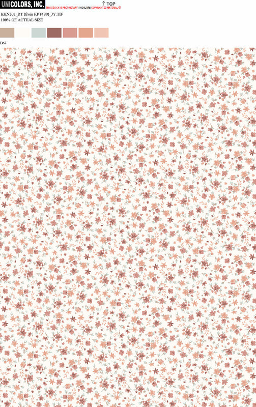 KHN202_D1 KHN202_D62