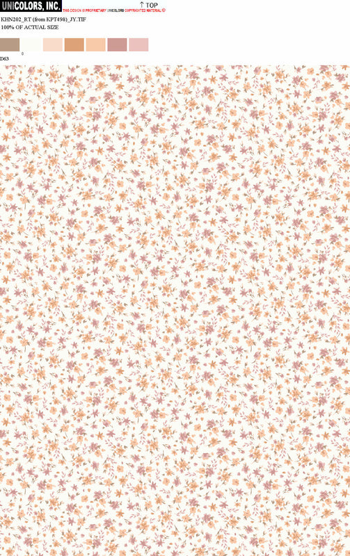 KHN202_D1 KHN202_D63