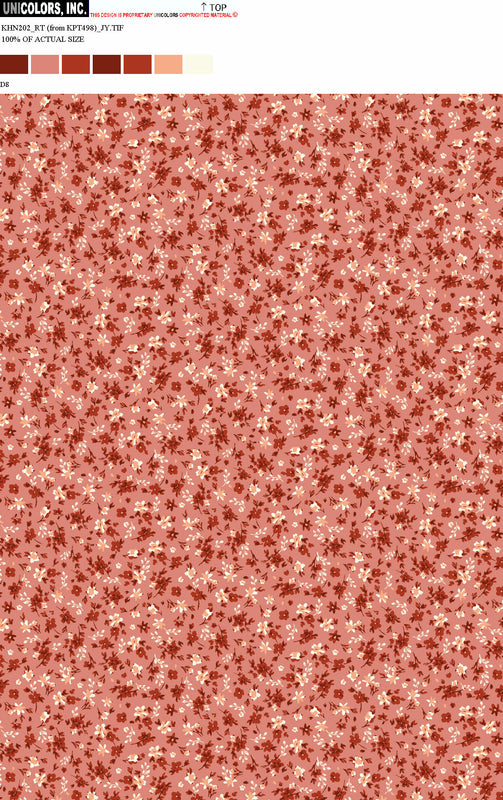 KHN202_D1 KHN202_D8