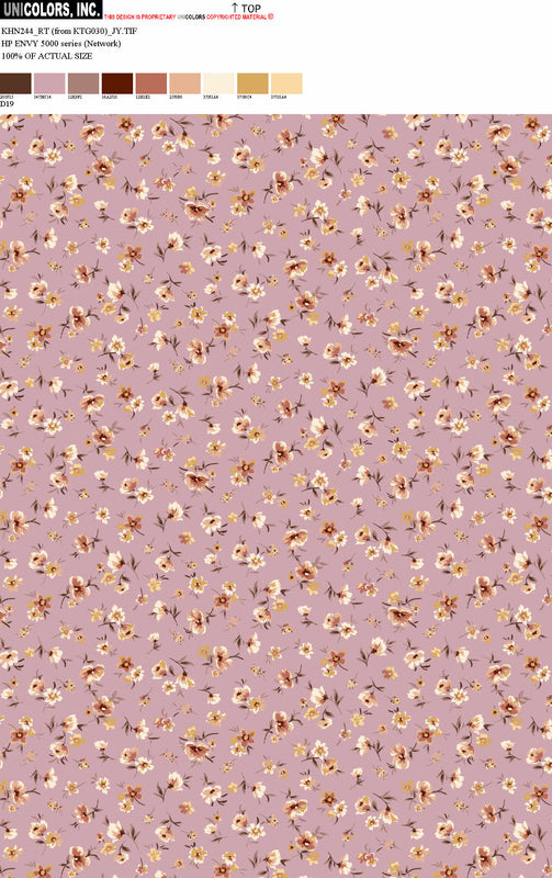 KHN244_D1 KHN244_D19