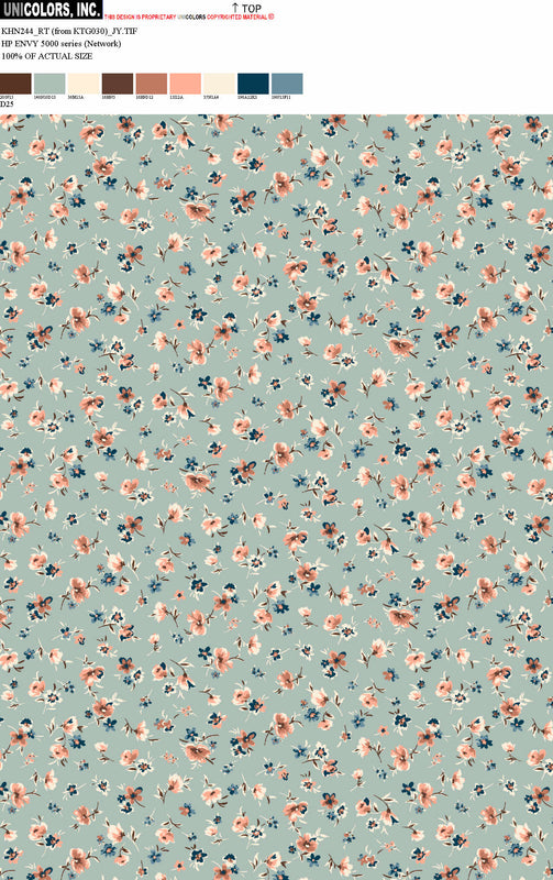 KHN244_D1 KHN244_D25