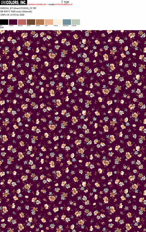 KHN244_D1 KHN244_D26