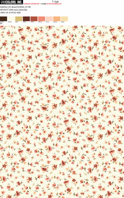 KHN244_D1 KHN244_D2