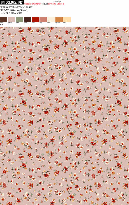 KHN244_D1 KHN244_D30