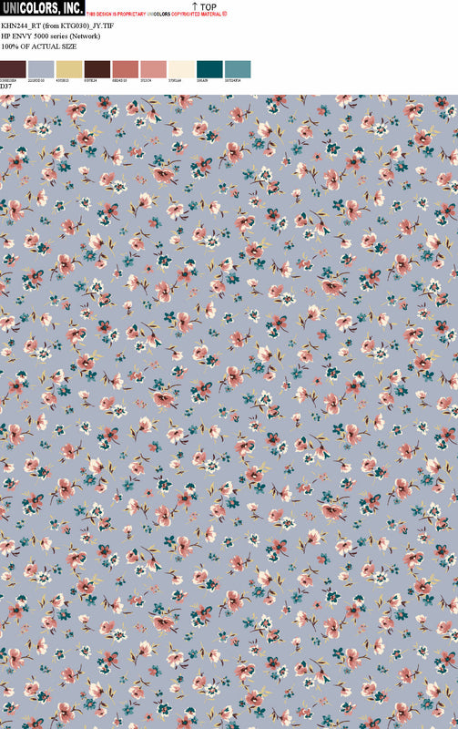 KHN244_D1 KHN244_D37