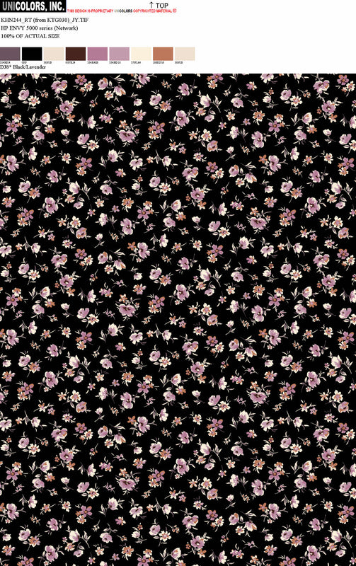 KHN244_D1 KHN244_D38