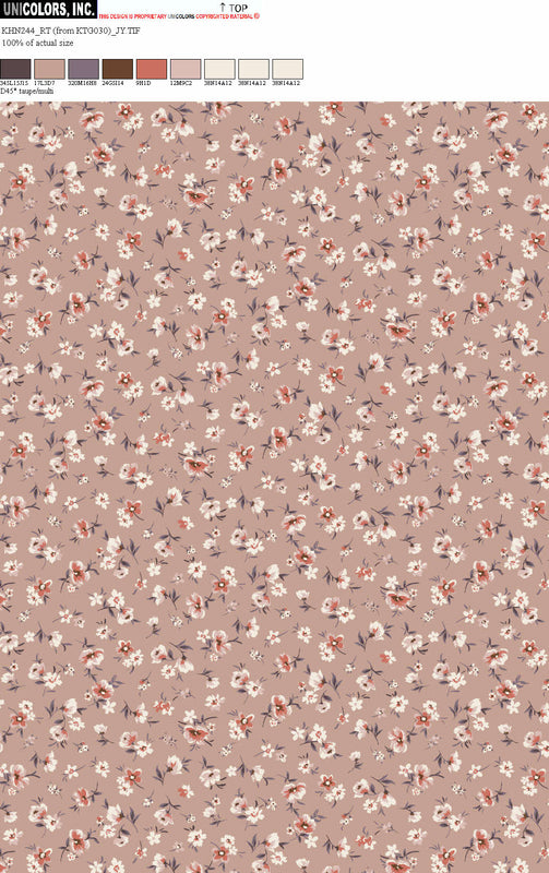 KHN244_D1 KHN244_D45