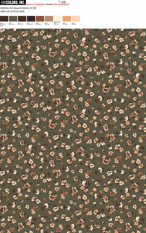 KHN244_D1 KHN244_D46