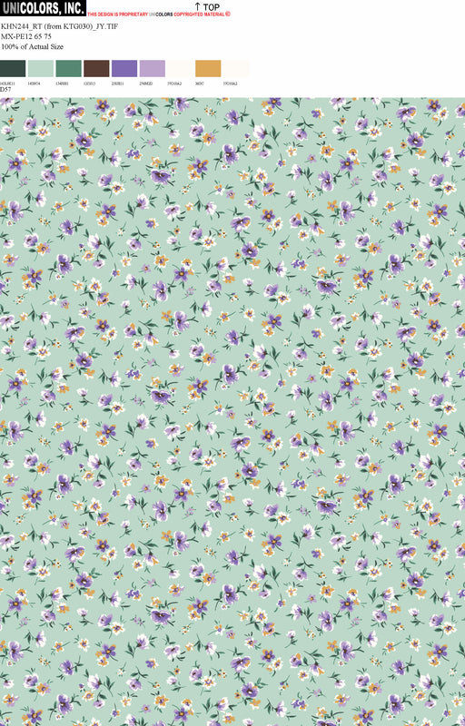 KHN244_D1 KHN244_D57