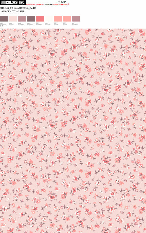 KHN244_D1 KHN244_D71