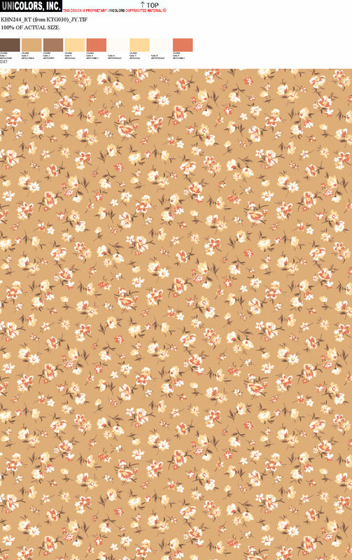 KHN244_D1 KHN244_D87