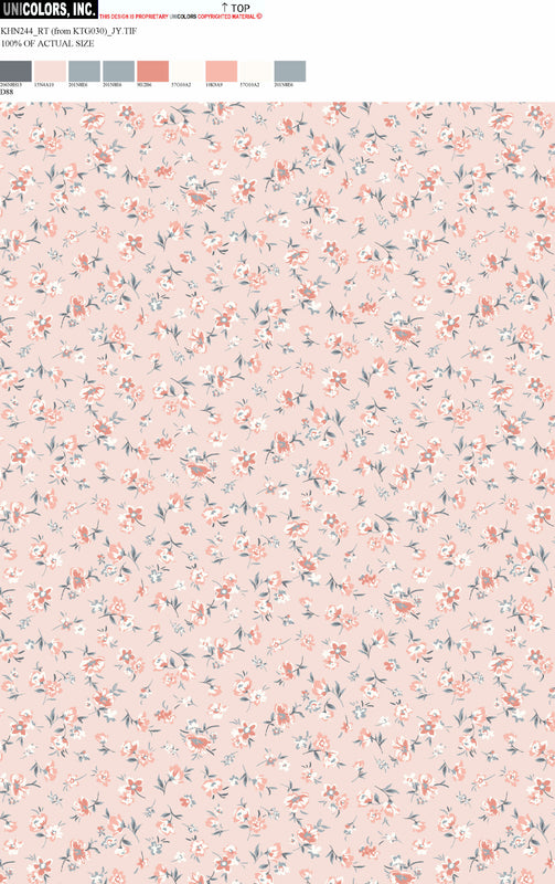 KHN244_D1 KHN244_D88