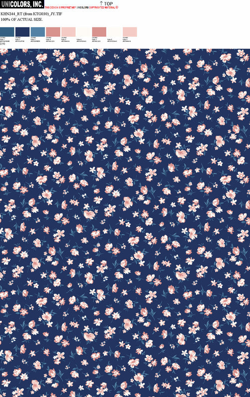 KHN244_D1 KHN244_D90