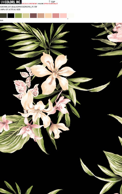 KHO008_D1 KHO008_D19