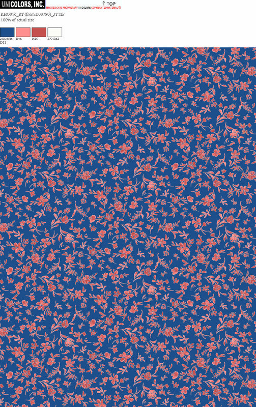 KHO016_D1 KHO016_D13