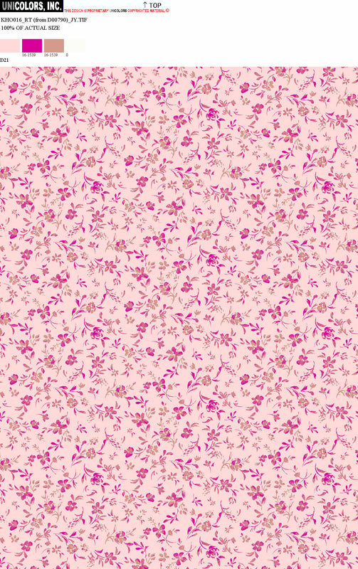 KHO016_D1 KHO016_D21