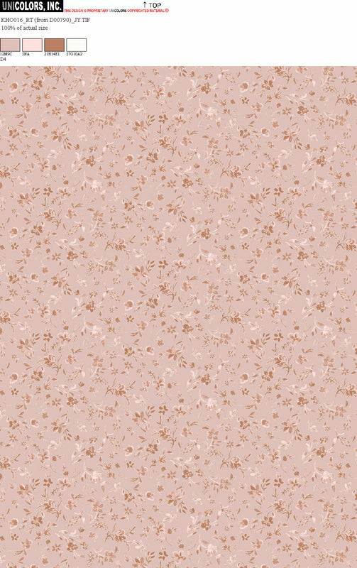 KHO016_D1 KHO016_D4