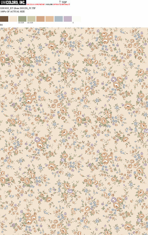 KHO032_D34 KHO032_D2