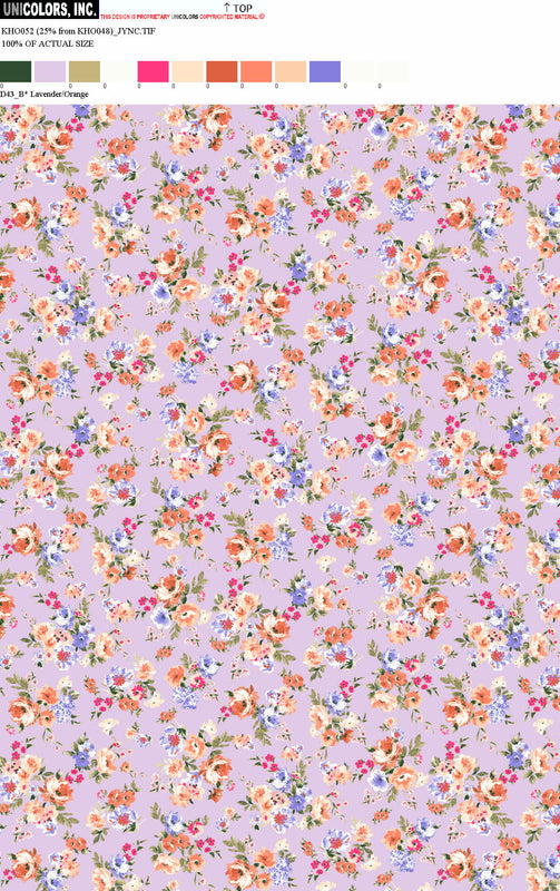 KHO052_D3 KHO052_D43_B
