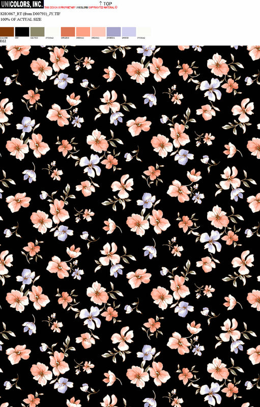 KHO067_D1 KHO067_D22