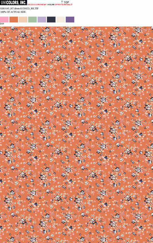 KHO145_D1 KHO145_D19