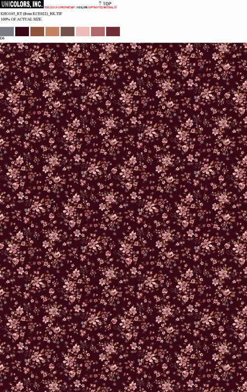 KHO145_D1 KHO145_D6