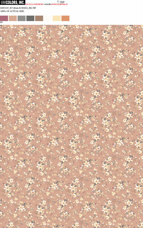 KHO145_D1 KHO145_D9