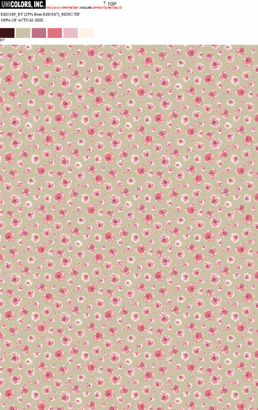 KHO189_D8 KHO189_D7