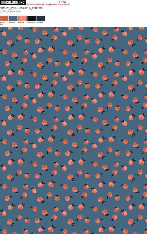 KHO203_D1 KHO203_D5