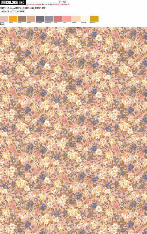 KHO215_D1 KHO215_D44