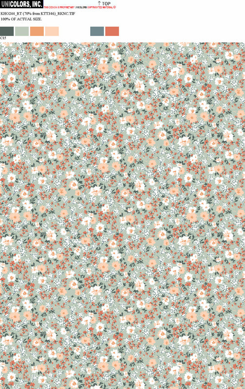KHO244_C55 KHO244_C15