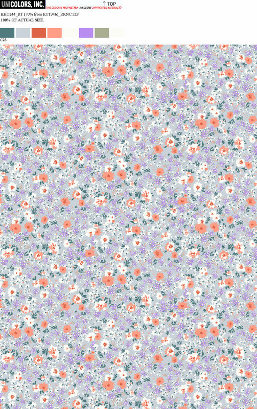 KHO244_C55 KHO244_C23