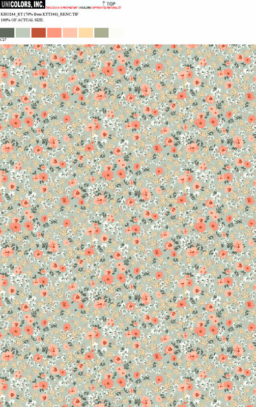 KHO244_C55 KHO244_C27