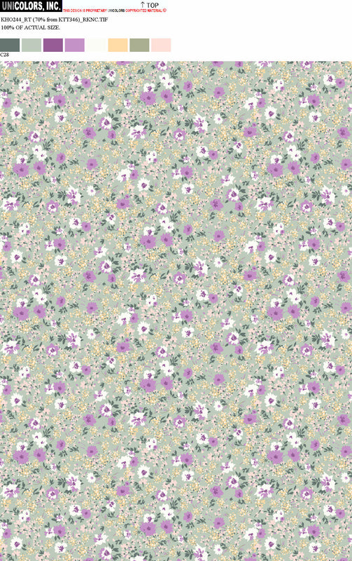 KHO244_C55 KHO244_C28