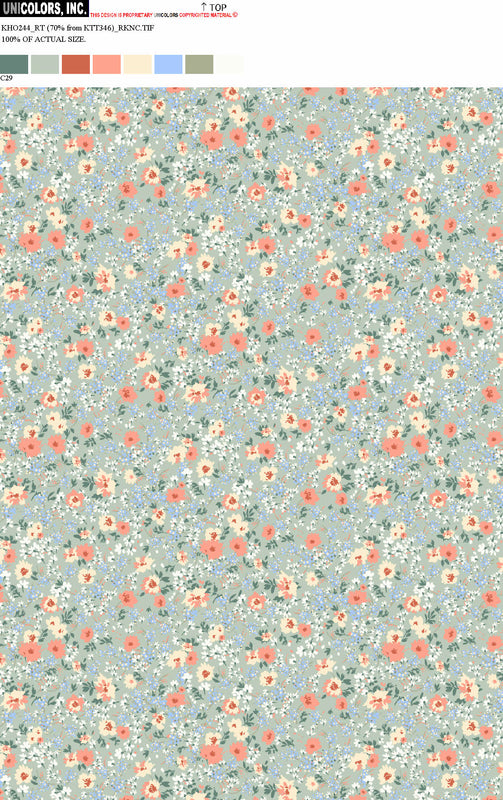 KHO244_C55 KHO244_C29