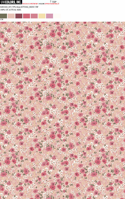 KHO244_C55 KHO244_C38