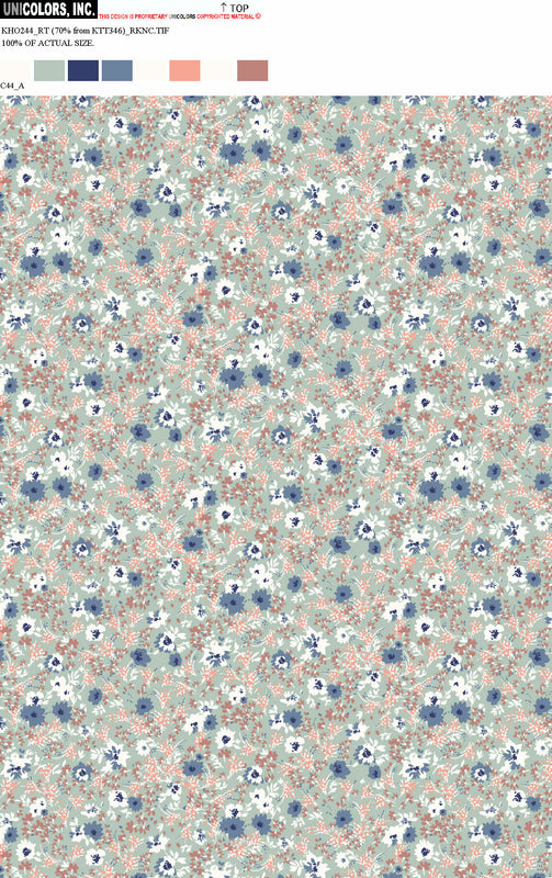 KHO244_C55 KHO244_C44_A