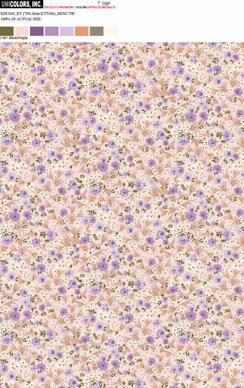KHO244_C55 KHO244_C46