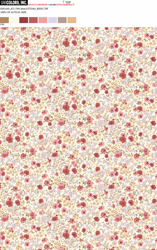 KHO244_C55 KHO244_C49
