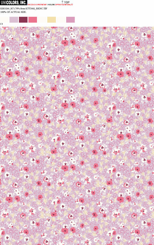 KHO244_C55 KHO244_C4