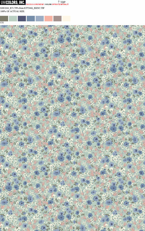 KHO244_C55 KHO244_C52