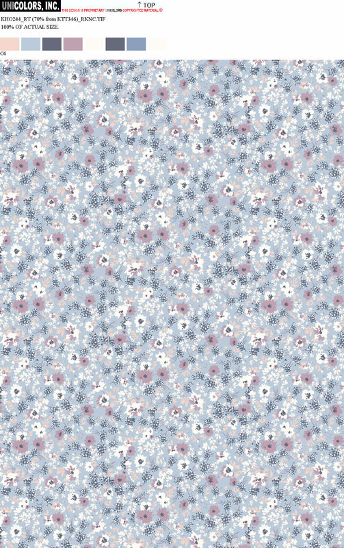 KHO244_C55 KHO244_C6
